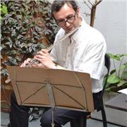 Clases de Flauta traversa y quena, audioperceptiva. Música popular y métodos clásicos. Computación aplicada (software)