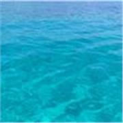 Laureata in Medicina Veterinaria con votazione di 110/100 e lode offre ripetizioni per scuole medie, superiori, università e per preparazioni ai test universitari per materie scientifiche