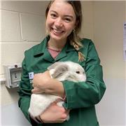 I can teach maths of all ages i am energetic and passionate about the subject.