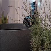 PREPARADORA OPOSICIÓN PRIMARIA MADRID 2026