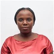 I deliver online interactive English lessons for beginners. 