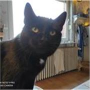 Deutschlehrerin bietet Unterstützung für SchülerInnen