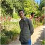 Estudiante de Ingeniería de Software, podría dar clases desde primaria hasta la ESO