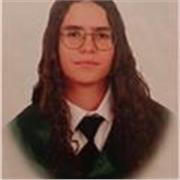 Profesora de matemáticas o lengua castellana hasta Educación Secundaria Obligatoria