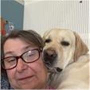 Offro on line supporto e sostegno ai ragazzi