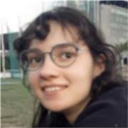 Laureanda in filosofia e storia offro lezioni di filosofia, storia, storia dell'arte e disegno tecnico per scuole superiori