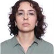 Profesora con mucha experiencia clases de inglés, español, materias relacionadas con Derecho, Historia, Sociología. Adolescentes y Adultos