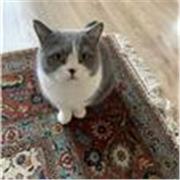 Ich biete engagierte Englisch Nachhilfe