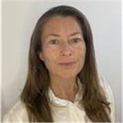 Clases online: inglés conversacional, primaria hsta adulta y preparación para los exámenes 