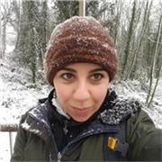 Anglais opérationnel pour étudiants et créatifs souhaitant communiquer efficacement dans un contexte académique et professionnel