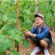 Bonjour, je suis originaire de Chine, j'enseigne le chinois et je suis actuellement étudiante en deuxième année de troisième cycle d'histoire à l'université de Nanterre