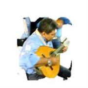 Profesor de apoyo escolar desde transición a grado once