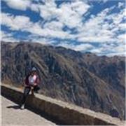 Especialista en mantenimiento correctivo de trenes eléctricos