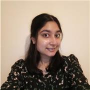 I give lessons to teach English as a foreign language