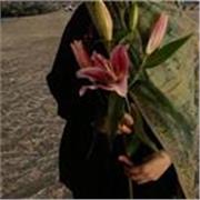 Je donne des cours de soutien, aide aux devoirs de la primaire au collège