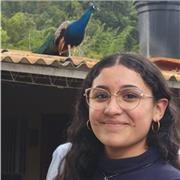 Tutora de inglés con experiencia en refuerzo escolar y acompañamiento universitario, clases online prácticas y personalizadas!