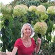 Claire Gresset