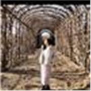 ESL Educator & Private Tutor | Specializing in Young Learners & Professional Adults | CELTA-Certified | 10+ Years Fostering Confid