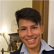 Studente di ingegneria offre lezioni private in remoto/presenza a Torino