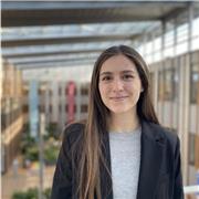 cours de français (collège et lycée), pour préparation au brevet et au bac de français