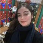 Experienced (Cambridge IGCSE Certificated) student with C2 english level - Teaching English for beginners :)