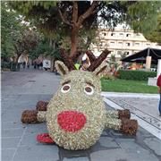 Ercan