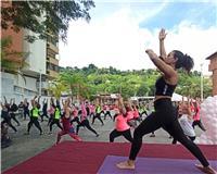 Clases de Yoga y respiracion personalizadas online