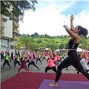 Clases de Yoga y respiracion personalizadas online