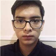 Estudiante universitario que busca trabajar como tutor/profesor particular de Matemáticas