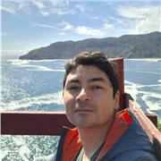 Profesor de literatura: escritura creativa y redacción profesional