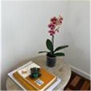 Professora particular de literatura brasileira