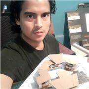 Profesor de taller de diseño e historia del arte, asesoría de tesis, para universidad, en especial UNFV. Arquitecto titulado