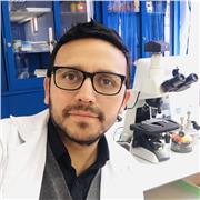 Clases particulares de Química y Biología, presencial y online