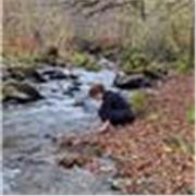 Titulaire d’un master en écologie et d’une licence en biochimie, je propose des cours particuliers de sciences (SVT, physique-chim