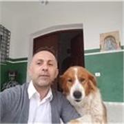 Profesor de italiano con experiencia de mas de 30 años