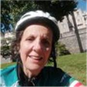 Italiano a ogni livello, compreso italiano per persone di altra madrelingua, ma anche inglese e francese e sostegno scolastico.