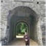 Irish History Tutor available for all levels
