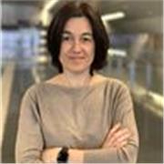 Contable con 20 años de experiencia, Diplomada Ciencias Empresariales.
