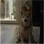 Maya, Studentessa di medicina al 4° presso Unipa