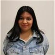 Ingenieria civil en ambiente