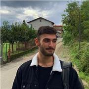 Ripetizioni in presenza (zona Parma e Verbania) oppure lezioni online