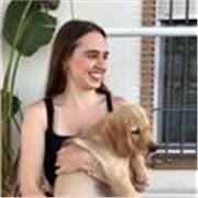 Clases económicas de español para extranjeros e inglés en un ambiente cómodo y motivador