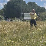 Ripetizioni di Chimica con giovane ricercatore e DOTTORANDO – in presenza a Lecce