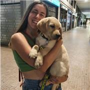 Laureata offre ripetizioni di Cinese, spagnolo, inglese, matematica latino italiano e storia