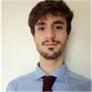 Tutor di ripetizioni in materie umanistiche. Presenziale e online.