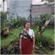 Professeur particulier donne des cours d'anglais, de français à des enfants en classe de primaire