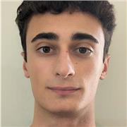 Studente di ingegneria diplomato al liceo scentifico offre ripetizioni di matematica e fisica