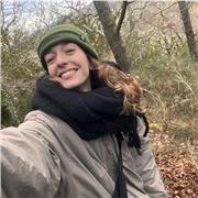 Profesora de español nativo ofrece clases particulares para niños y adultos en Palma de Mallorca u online