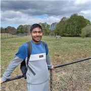 Providing tutoring to Primary school children or those sitting GCSE English language