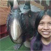 Matemáticas básicas fáciles y paso a paso (nivel colegio)